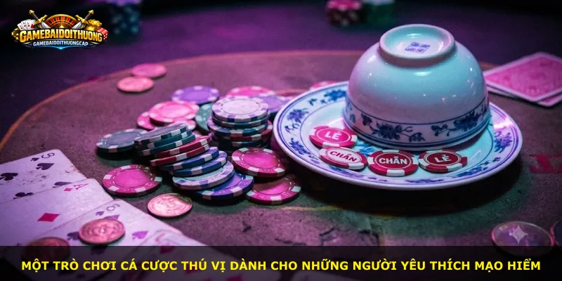 Một trò chơi cá cược thú vị dành cho những người yêu thích mạo hiểm